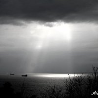 ... :: ALEX MAK ... :: ALEX MAK