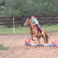 Прыжок :: Юлия Полянцева