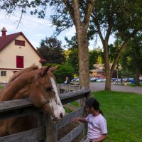 осторожное любопытство :: Alexander Hersonski