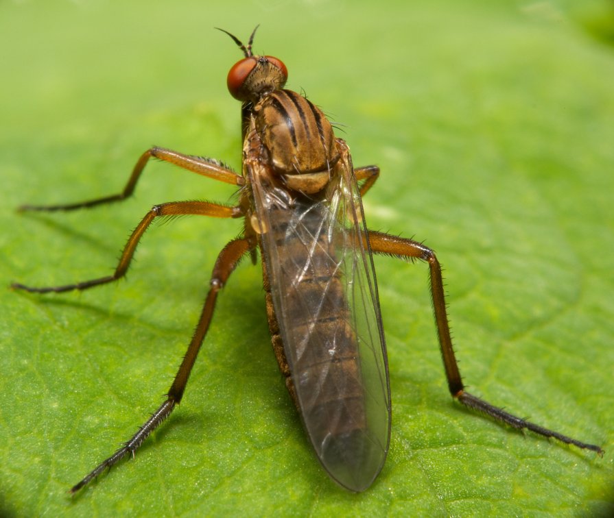 ... - Александр Наумкин