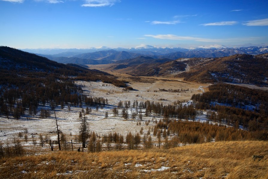 Первый снег на Алтае - Мария Гаврилова