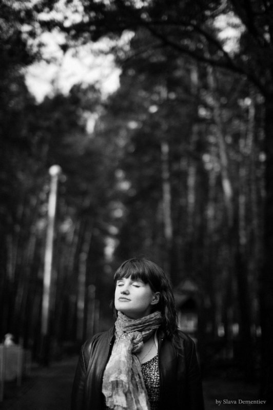 ... - Вячеслав Дементьев