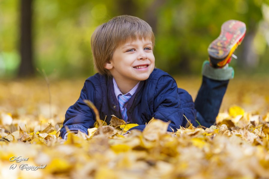 Рома. - Андрей Стародубов
