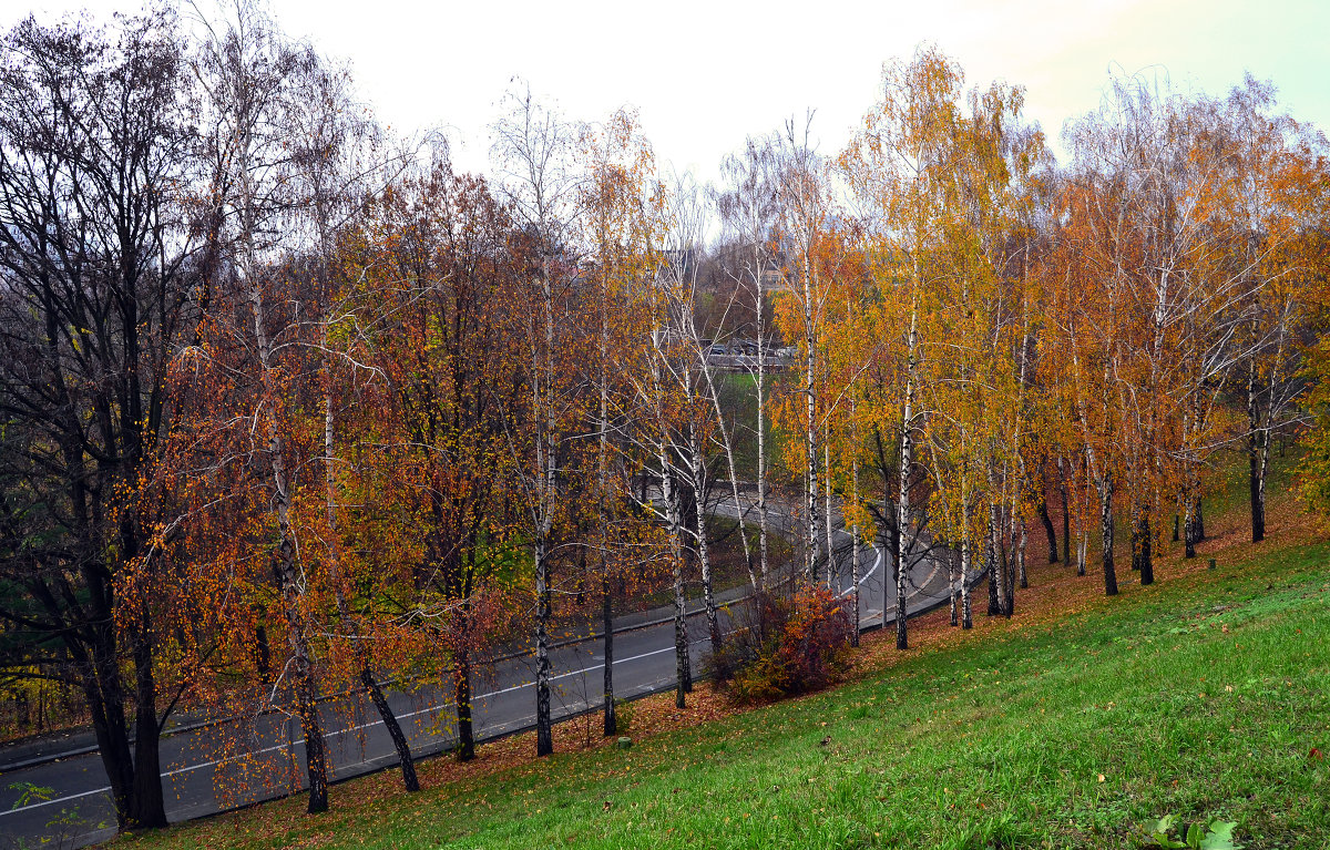 Дорога осенью - dimakoshelev Кошелев