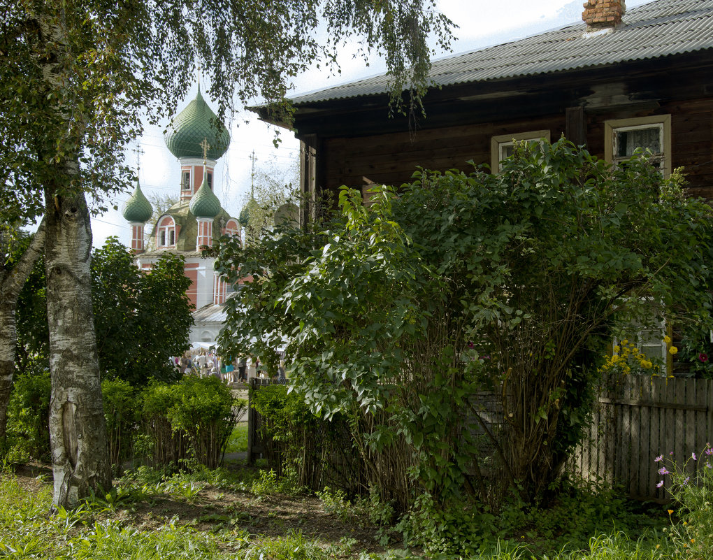 тихая провинция - ник. петрович земцов