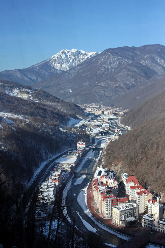 ... - Виолетта 