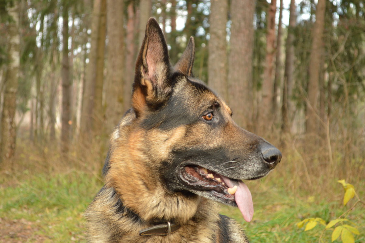 Джек - Юлия Федорова