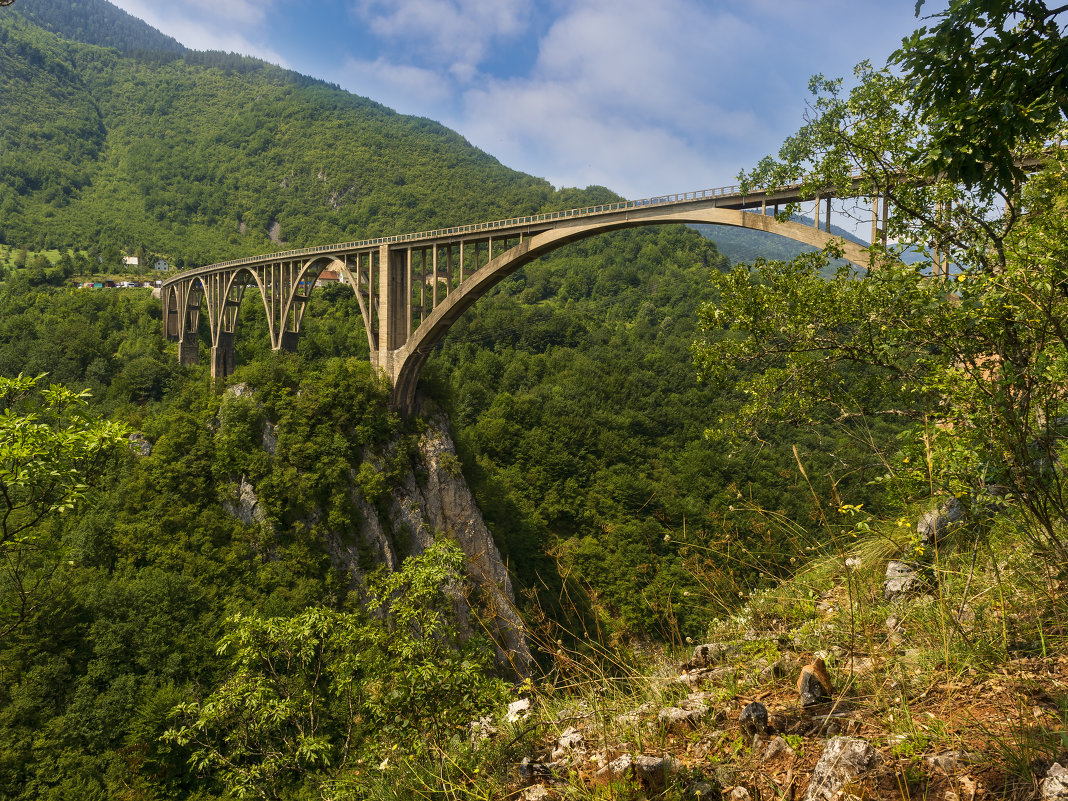 *** - Александр Фотограф