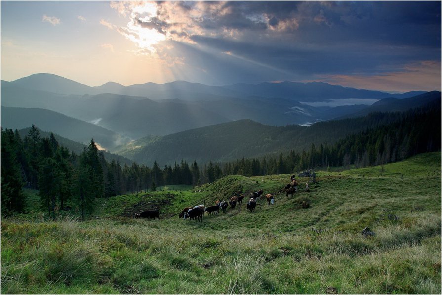 Ранок - Василь Роган