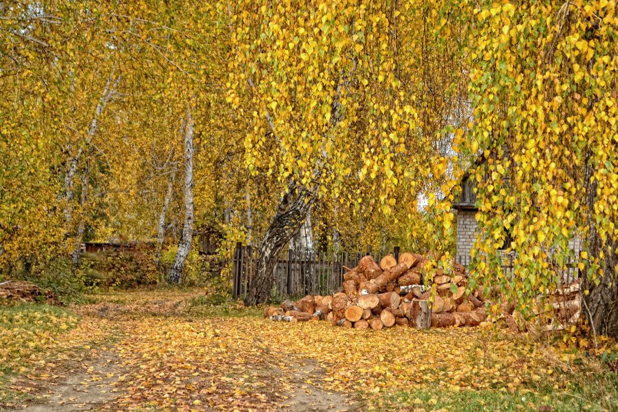 осень..золотая... - Наталья О.