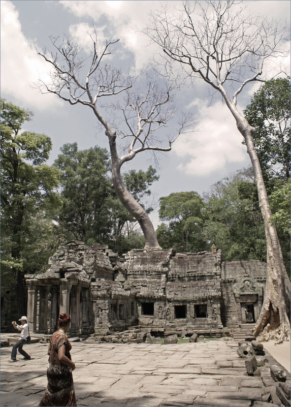 Камбоджа.Храм Та Прохм. - Людмила Шустова Камбоджа.Храм Та Прохм. - Людмила Шустова