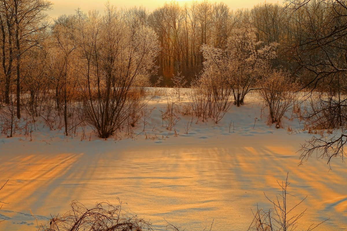 Мороз и солнце - Владимир 