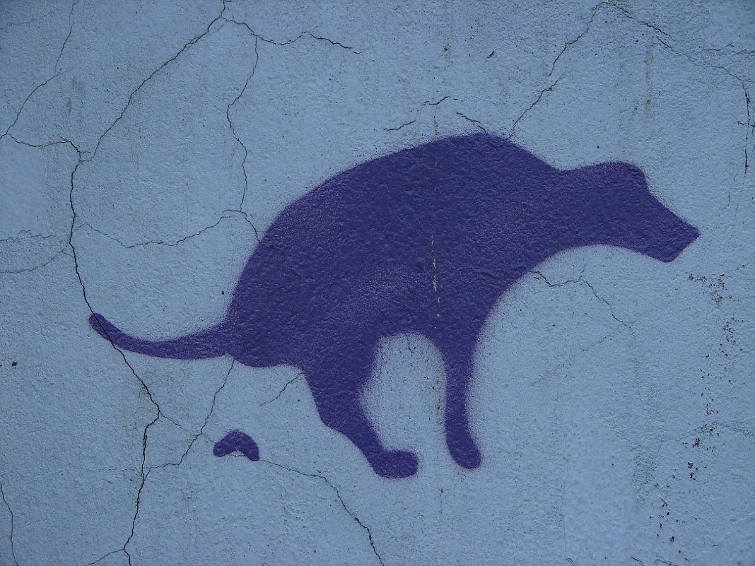 STENCIL. - ВАСИЛИСА АЛЕКСЕЕВНА