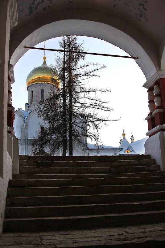 Собор Рождества Богородицы. - Юлия Левикова