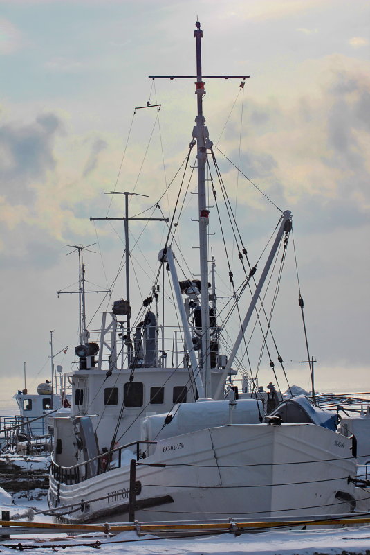 Флотилия Байкала - Ирина Михалева