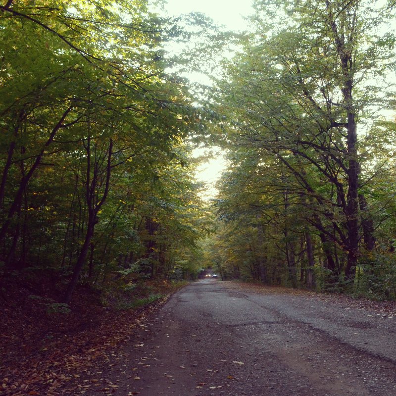 In Dilijan... - Sone photography