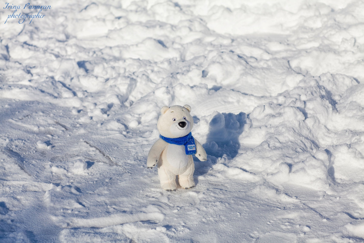 Белый Мишка Sochi 2014 - Irina Panaran