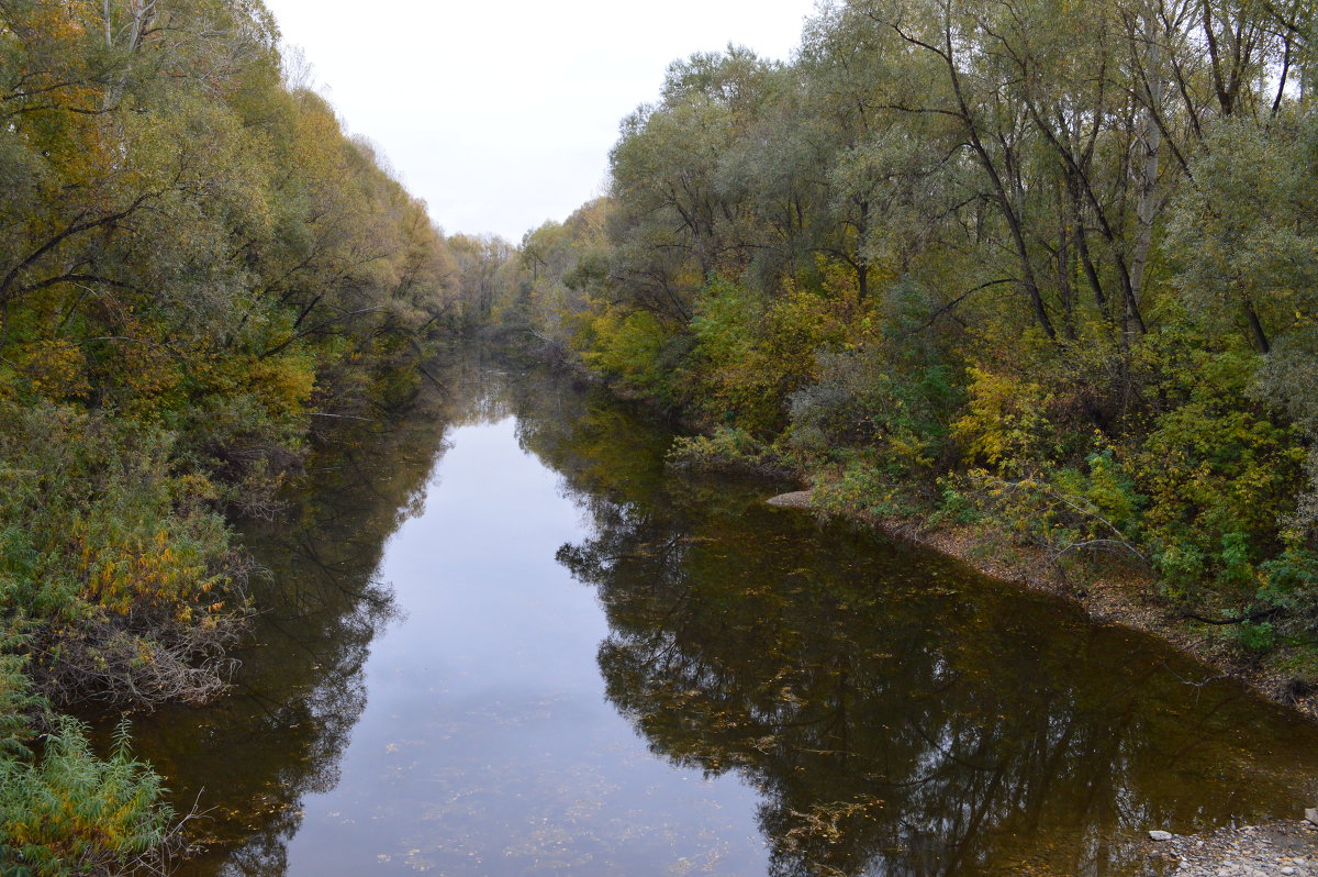 речка в усть-каменогорске - татьяна 