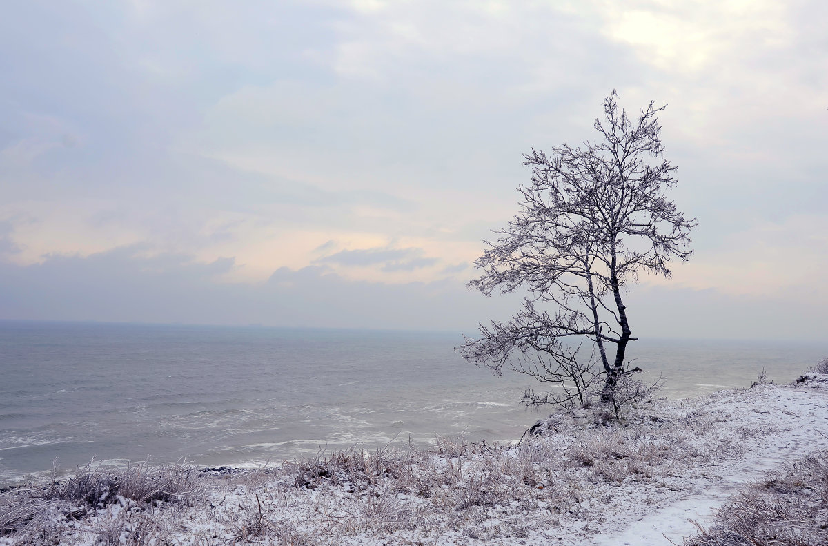 Побережье - Руслан Чустрак
