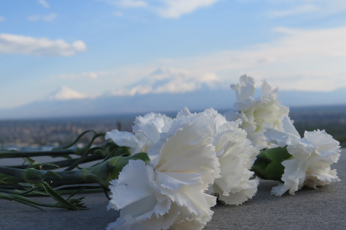 Armenia, Ararat - Ester 