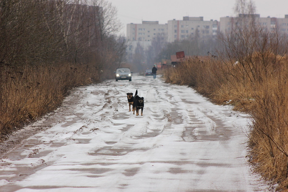 Дорога... - Людмила Минтюкова