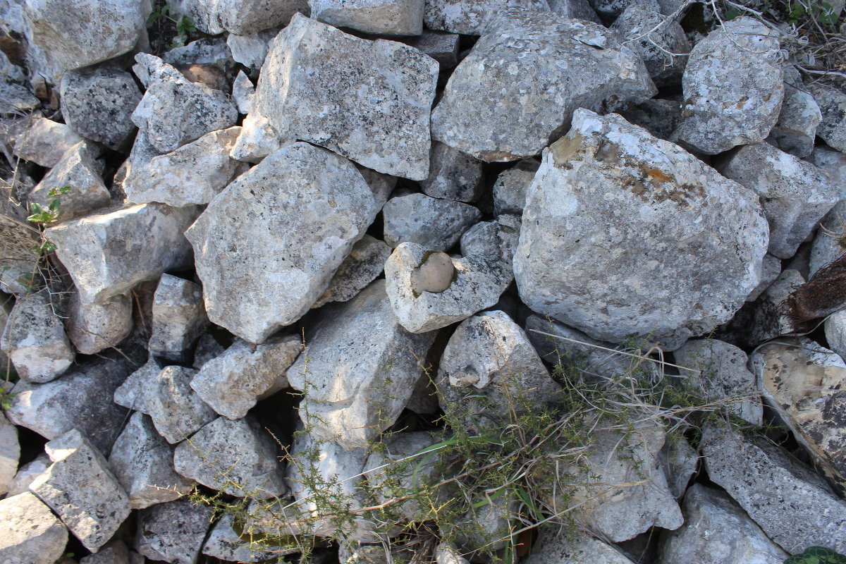 Природа - Игорь Парицкий 