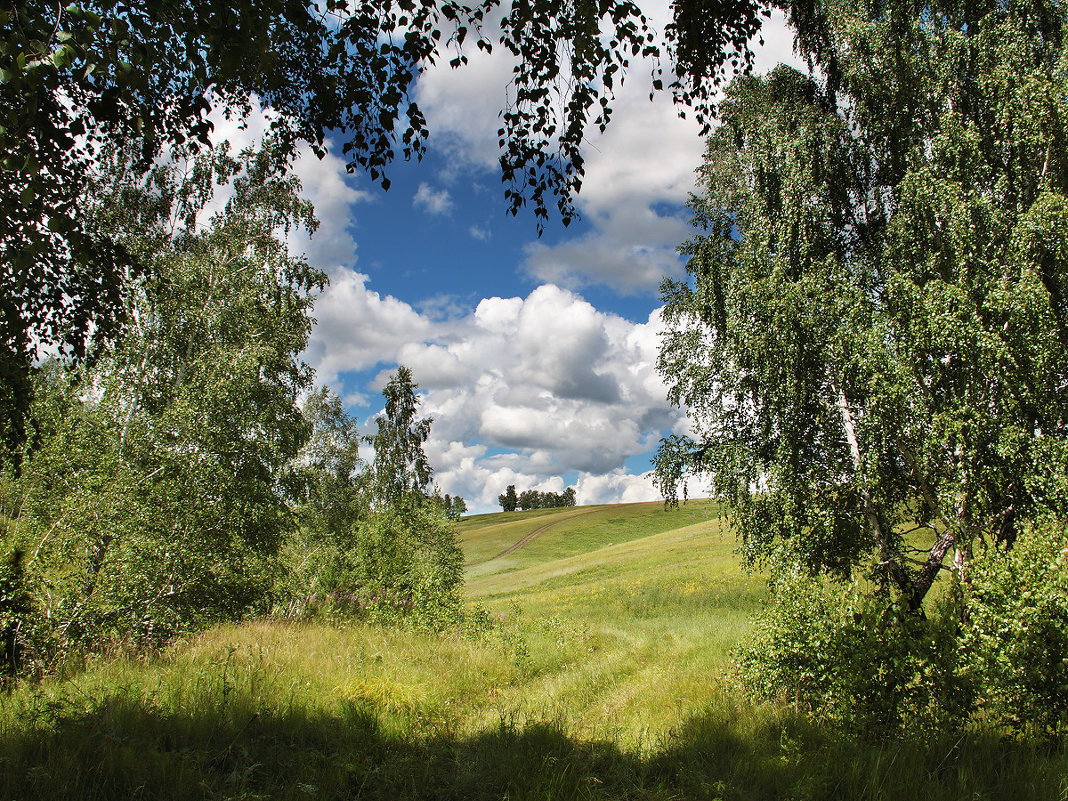 *** - Николай Морский 