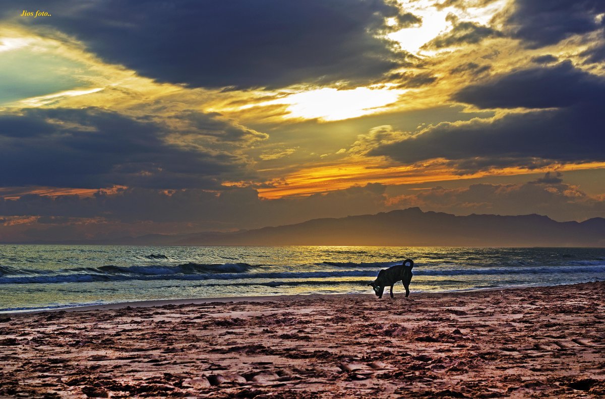 Salou.. Posle dojdia.. - Jio_Salou aticodelmar