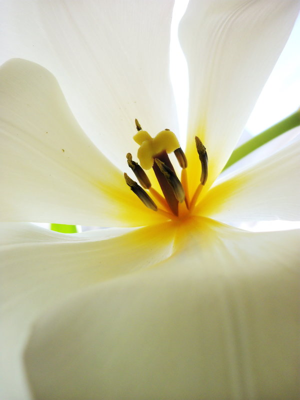 ! - Анастасия Клименко ! - Анастасия Клименко