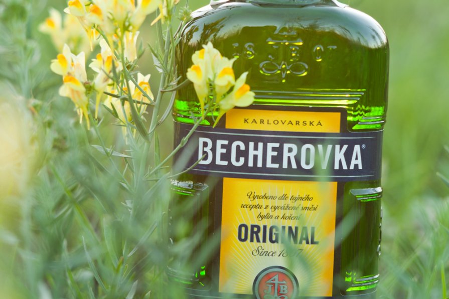 becherovka - Viktor Vishnevskiy