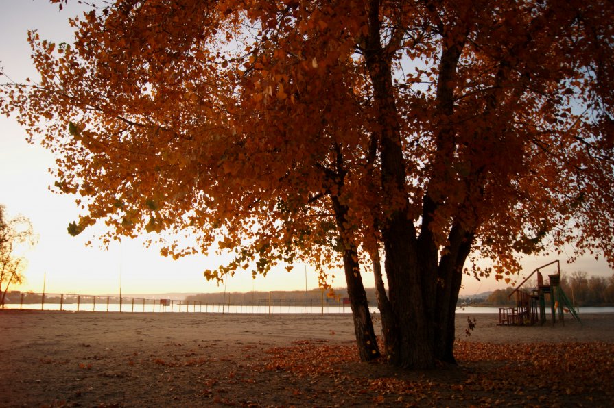 . - Дарья Блохина