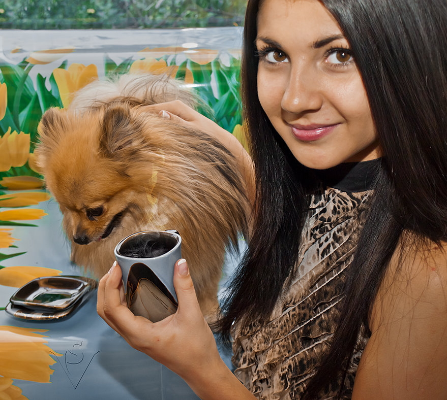 Хозяйка, где же сыр? - Светлана Васильева