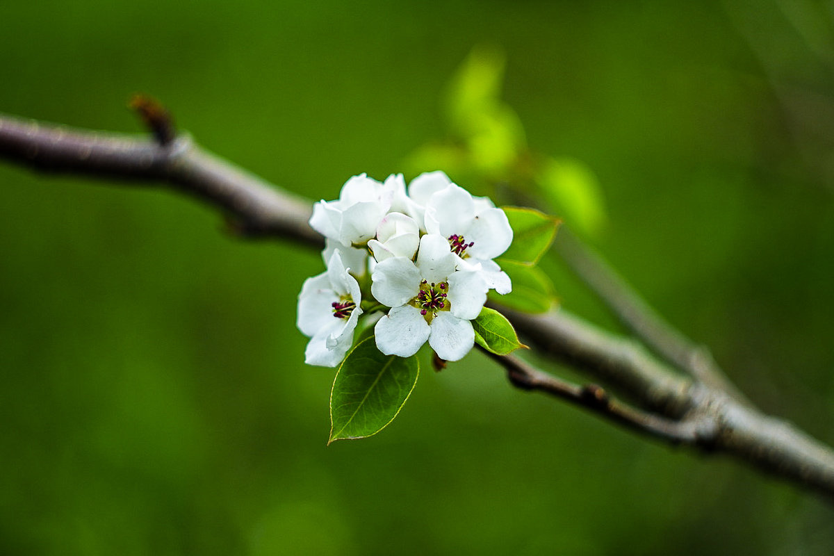 ... - Дмитрий Ломтев