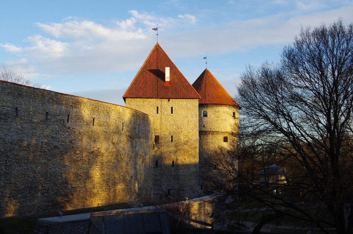 Таллин. Фрагмент стены. - Наталья Осипова(Копраненкова) Таллин. Фрагмент стены. - Наталья Осипова(Копраненкова)