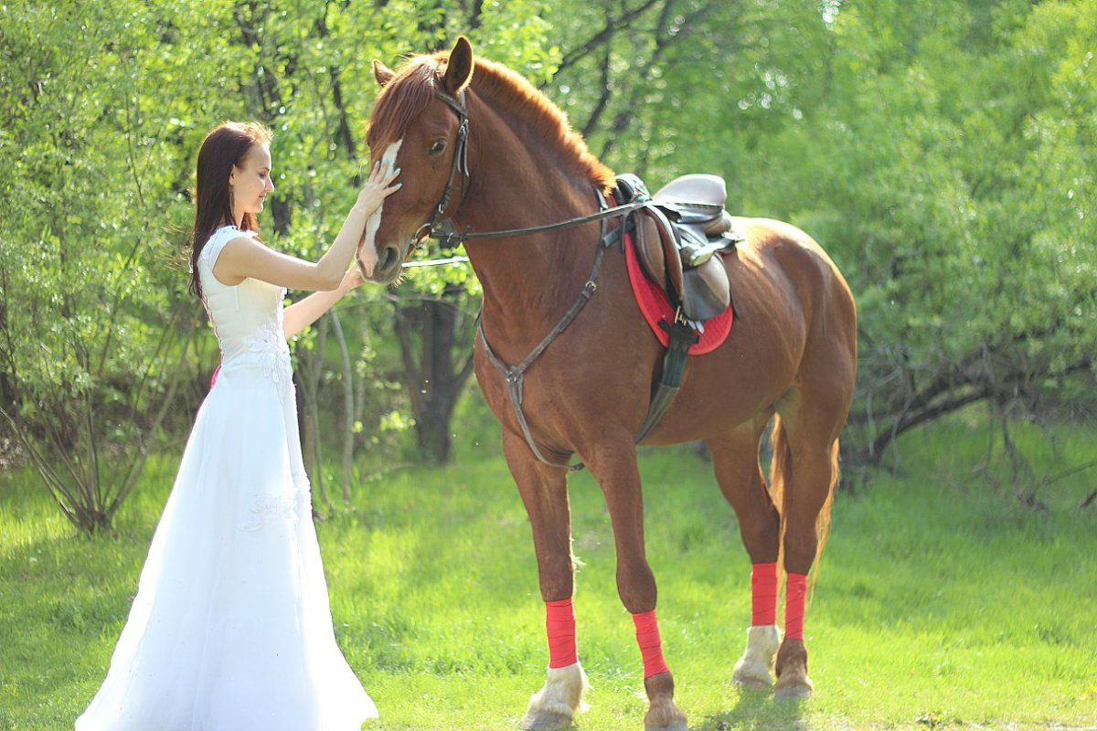 Прогулка невесты - Елизавета Альбрехт