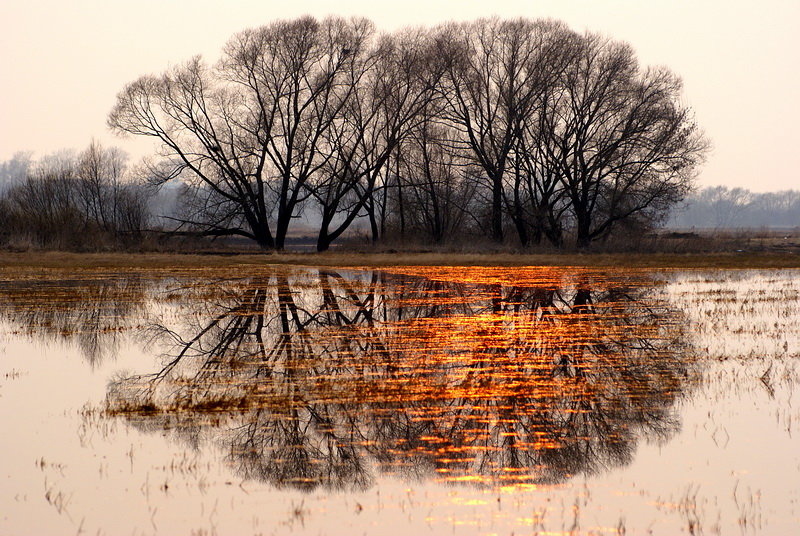 золото заката - Александр Моднов
