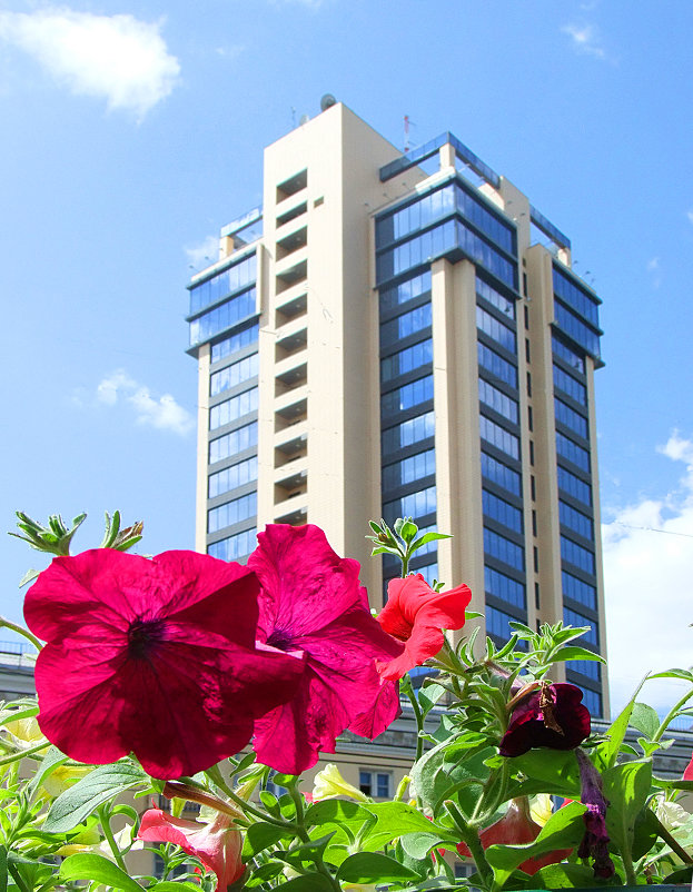 Галерея Чижова - Генрих Сидоренко