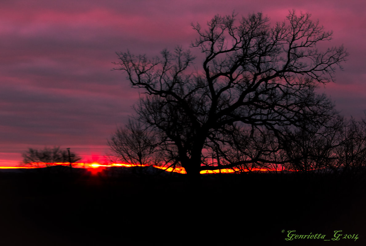 ****** - Гетта G