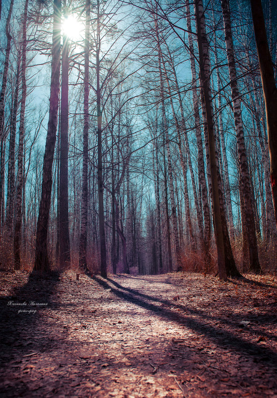 В тиши лесной... - Ангелина Хасанова В тиши лесной... - Ангелина Хасанова