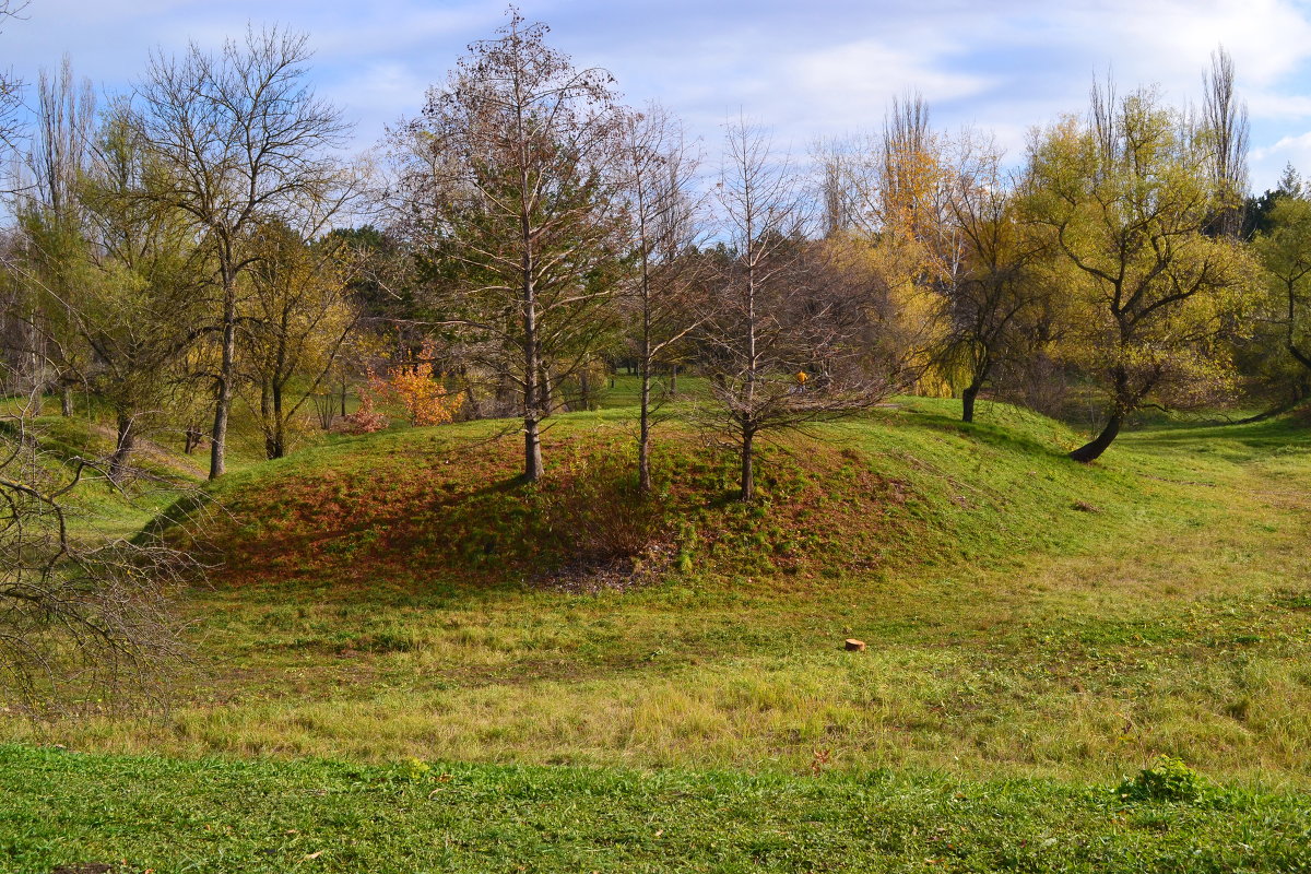 *** - Лилия П.