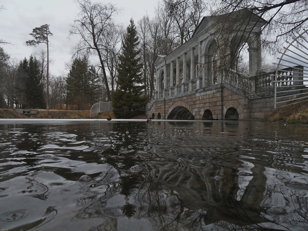 Царское Село. Мост с отражением - Юрий Цыплятников