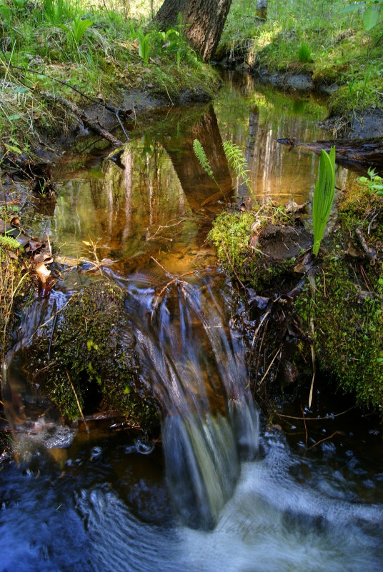 Течет ручей - Сергей Шаврин