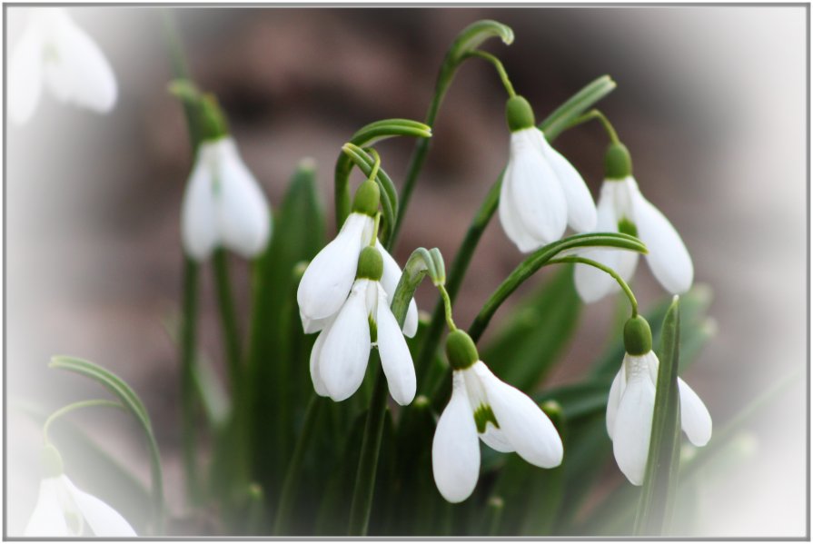 весна - Яна Горбунова