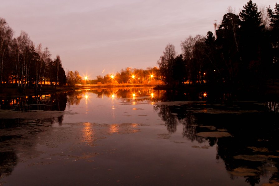 Городские огни - Маруся Шитова