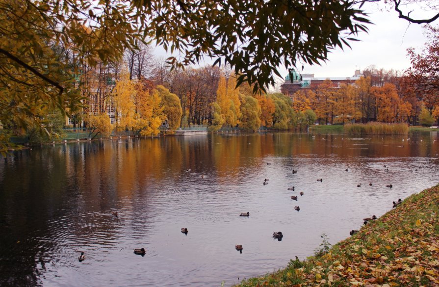 Всеми красками - Полина Гончарова