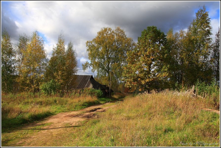 Новгородская осень - Александр Шпаргалюк