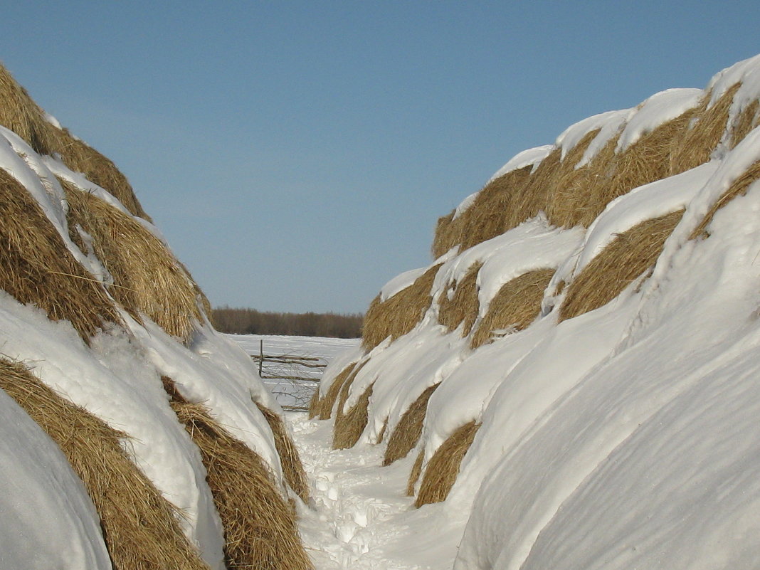 Ммм... - Ольга Ммм... - Ольга