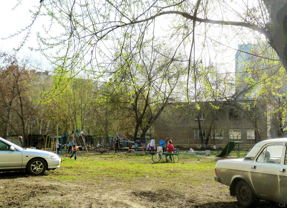 Первая зелень - Александр Садовский