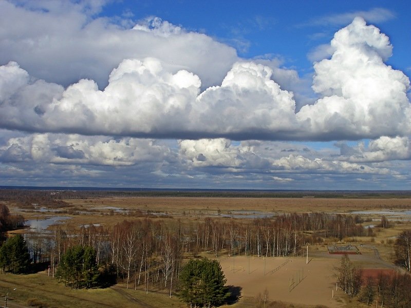 Облака в окно - Людмила Алексеева Облака в окно - Людмила Алексеева