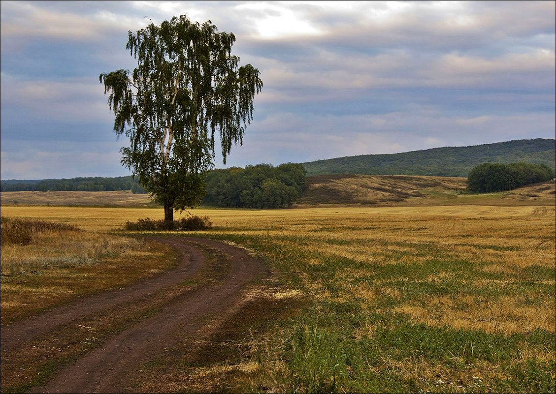 Во поле берёза стояла - Любовь Потеряхина